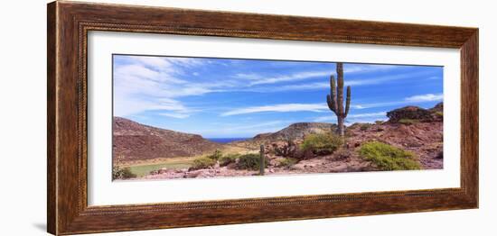 Saguaro Cactus in Arid Area, El Embudo, Isla Partida, La Paz, Baja California Sur, Mexico-null-Framed Photographic Print