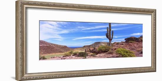 Saguaro Cactus in Arid Area, El Embudo, Isla Partida, La Paz, Baja California Sur, Mexico-null-Framed Photographic Print