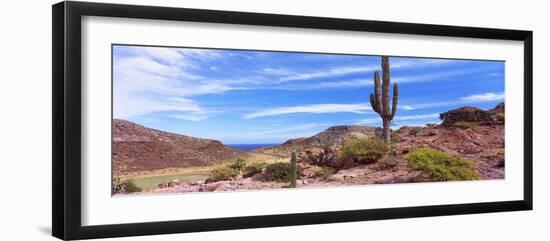 Saguaro Cactus in Arid Area, El Embudo, Isla Partida, La Paz, Baja California Sur, Mexico-null-Framed Photographic Print