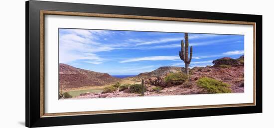 Saguaro Cactus in Arid Area, El Embudo, Isla Partida, La Paz, Baja California Sur, Mexico-null-Framed Photographic Print