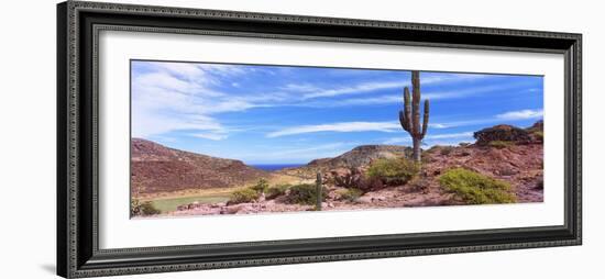 Saguaro Cactus in Arid Area, El Embudo, Isla Partida, La Paz, Baja California Sur, Mexico-null-Framed Photographic Print