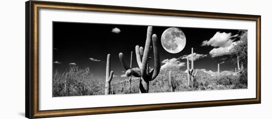 Saguaro cactus in moonlight at Saguaro National Park, Tucson, Arizona, USA-null-Framed Photographic Print