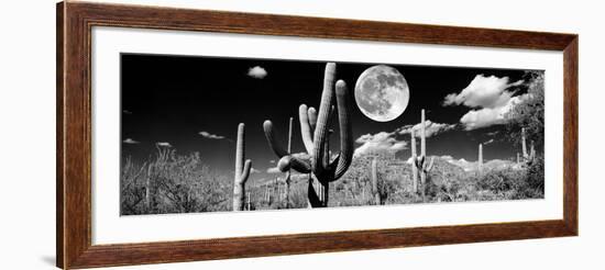 Saguaro cactus in moonlight at Saguaro National Park, Tucson, Arizona, USA-null-Framed Photographic Print