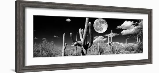 Saguaro cactus in moonlight at Saguaro National Park, Tucson, Arizona, USA-null-Framed Premium Photographic Print