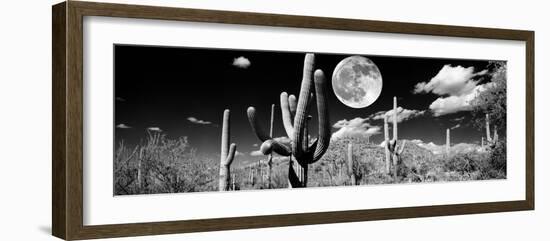 Saguaro cactus in moonlight at Saguaro National Park, Tucson, Arizona, USA-null-Framed Premium Photographic Print