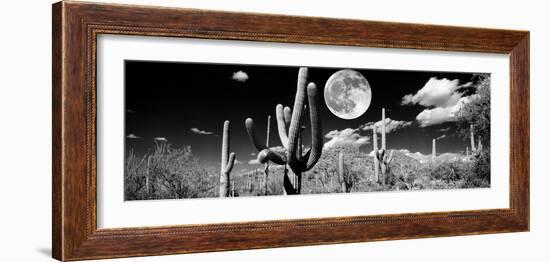 Saguaro cactus in moonlight at Saguaro National Park, Tucson, Arizona, USA-null-Framed Premium Photographic Print