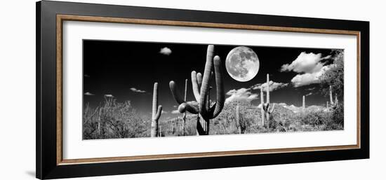 Saguaro cactus in moonlight at Saguaro National Park, Tucson, Arizona, USA-null-Framed Premium Photographic Print