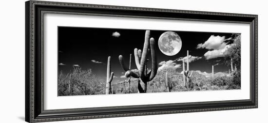 Saguaro cactus in moonlight at Saguaro National Park, Tucson, Arizona, USA-null-Framed Premium Photographic Print