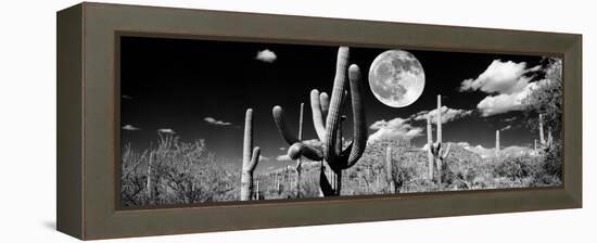 Saguaro cactus in moonlight at Saguaro National Park, Tucson, Arizona, USA-null-Framed Premier Image Canvas