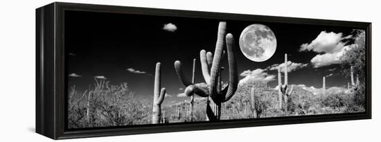 Saguaro cactus in moonlight at Saguaro National Park, Tucson, Arizona, USA-null-Framed Premier Image Canvas