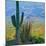 Saguaro Cactus in Saguaro National Park, Arizona,USA-Anna Miller-Mounted Photographic Print