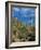 Saguaro Cactus in Sonoran Desert, Saguaro National Park, Arizona, USA-Dee Ann Pederson-Framed Photographic Print