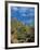 Saguaro Cactus in Sonoran Desert, Saguaro National Park, Arizona, USA-Dee Ann Pederson-Framed Photographic Print