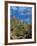 Saguaro Cactus in Sonoran Desert, Saguaro National Park, Arizona, USA-Dee Ann Pederson-Framed Photographic Print