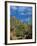 Saguaro Cactus in Sonoran Desert, Saguaro National Park, Arizona, USA-Dee Ann Pederson-Framed Photographic Print