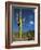 Saguaro Cactus in Sonoran Desert, Saguaro National Park, Arizona, USA-Dee Ann Pederson-Framed Photographic Print