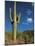 Saguaro Cactus in Sonoran Desert, Saguaro National Park, Arizona, USA-Dee Ann Pederson-Mounted Photographic Print