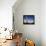 Saguaro Cactus in Tucson Mountain Park, Tucson, Arizona, United States of America, North America-Richard Cummins-Framed Premier Image Canvas displayed on a wall