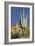 Saguaro Cactus near the Cliff-Dwellings at Tonto National Monument, Arizona-null-Framed Photographic Print