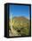 Saguaro Cactus near Tucson, Arizona-null-Framed Stretched Canvas