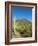 Saguaro Cactus near Tucson, Arizona-null-Framed Photo