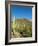 Saguaro Cactus near Tucson, Arizona-null-Framed Photo