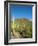 Saguaro Cactus near Tucson, Arizona-null-Framed Photo