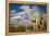 Saguaro Cactus on the Mountainside in Tuscon, Arizona-pdb1-Framed Premier Image Canvas