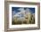 Saguaro Cactus on the Mountainside in Tuscon, Arizona-pdb1-Framed Photographic Print