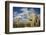 Saguaro Cactus on the Mountainside in Tuscon, Arizona-pdb1-Framed Photographic Print