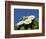 Saguaro Cactus, Saguaro National Park, Tucson, Arizona, USA-Peter Hawkins-Framed Photographic Print