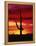 Saguaro Cactus Silhouetted at Sunset-James Randklev-Framed Premier Image Canvas