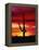 Saguaro Cactus Silhouetted at Sunset-James Randklev-Framed Premier Image Canvas