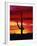 Saguaro Cactus Silhouetted at Sunset-James Randklev-Framed Photographic Print