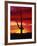 Saguaro Cactus Silhouetted at Sunset-James Randklev-Framed Photographic Print
