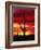 Saguaro Cactus Silhouetted at Sunset-James Randklev-Framed Photographic Print