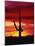 Saguaro Cactus Silhouetted at Sunset-James Randklev-Mounted Photographic Print