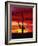 Saguaro Cactus Silhouetted at Sunset-James Randklev-Framed Photographic Print