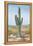 Saguaro Cactus Study I-Ethan Harper-Framed Stretched Canvas