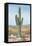 Saguaro Cactus Study I-Ethan Harper-Framed Stretched Canvas