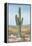 Saguaro Cactus Study I-Ethan Harper-Framed Stretched Canvas