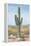 Saguaro Cactus Study I-Ethan Harper-Framed Stretched Canvas