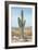 Saguaro Cactus Study I-Ethan Harper-Framed Art Print