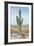 Saguaro Cactus Study I-Ethan Harper-Framed Art Print