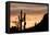 Saguaro Cactus-wollertz-Framed Premier Image Canvas