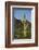 Saguaro Cactus-DLILLC-Framed Photographic Print