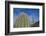 Saguaro Cactus-DLILLC-Framed Photographic Print