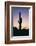 Saguaro Cactus-DLILLC-Framed Photographic Print