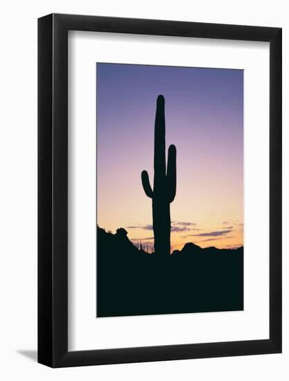 Saguaro Cactus-DLILLC-Framed Photographic Print