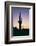 Saguaro Cactus-DLILLC-Framed Photographic Print